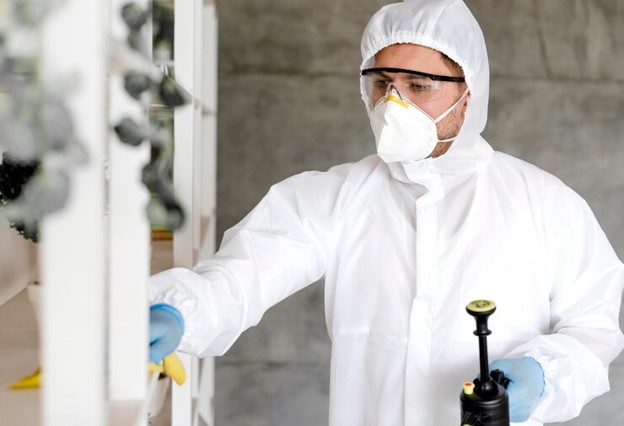 Professional Mould Inspection